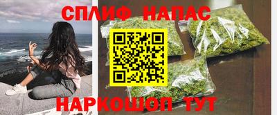 стаф Ставрополь
